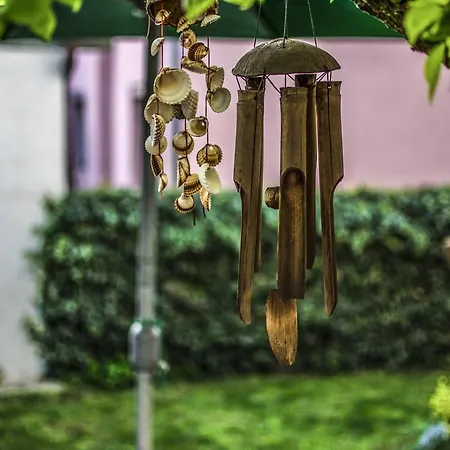 Ivan Apartman Ni