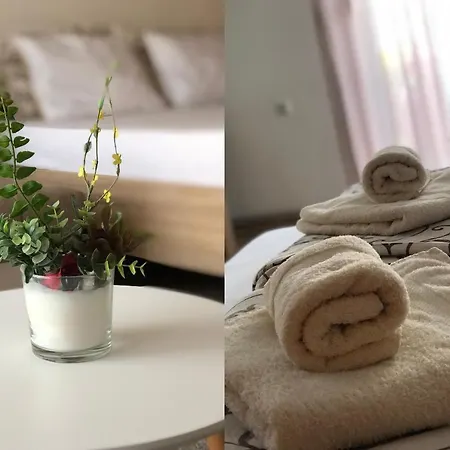 Ivan Apartman *